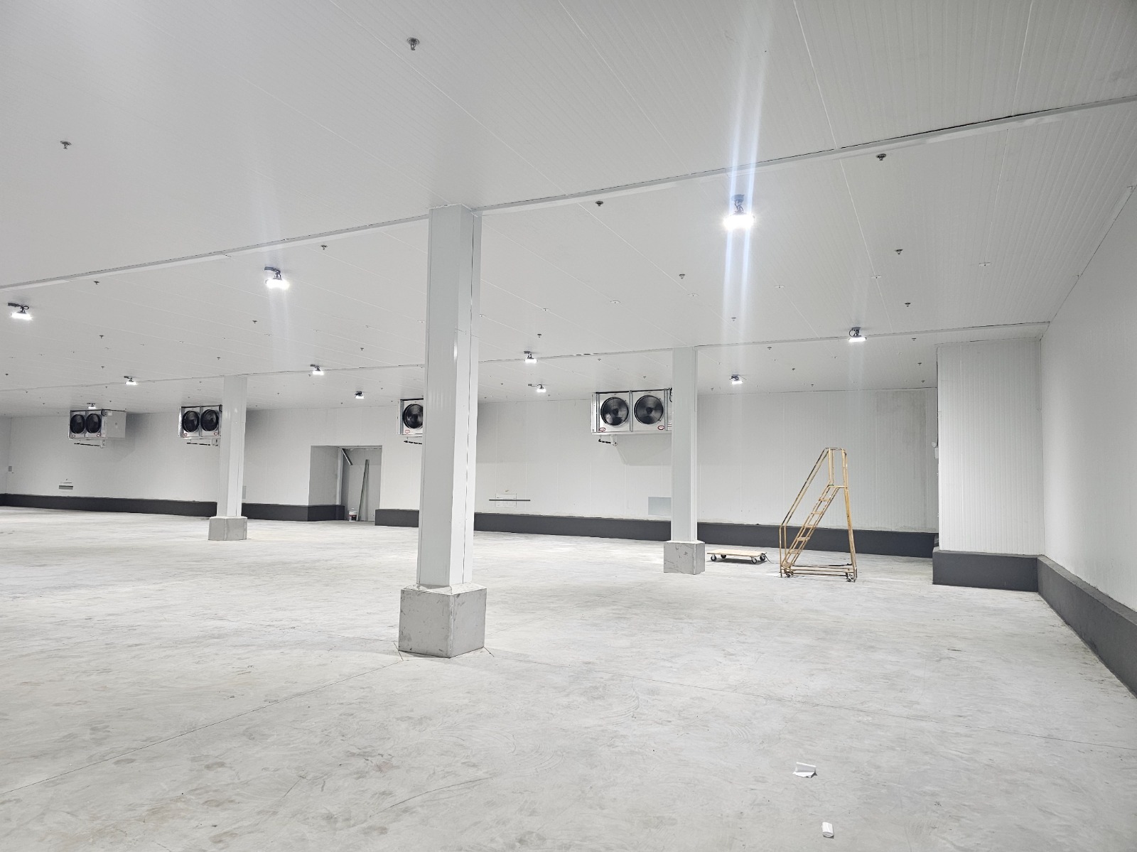 Cold Storage Evaporators